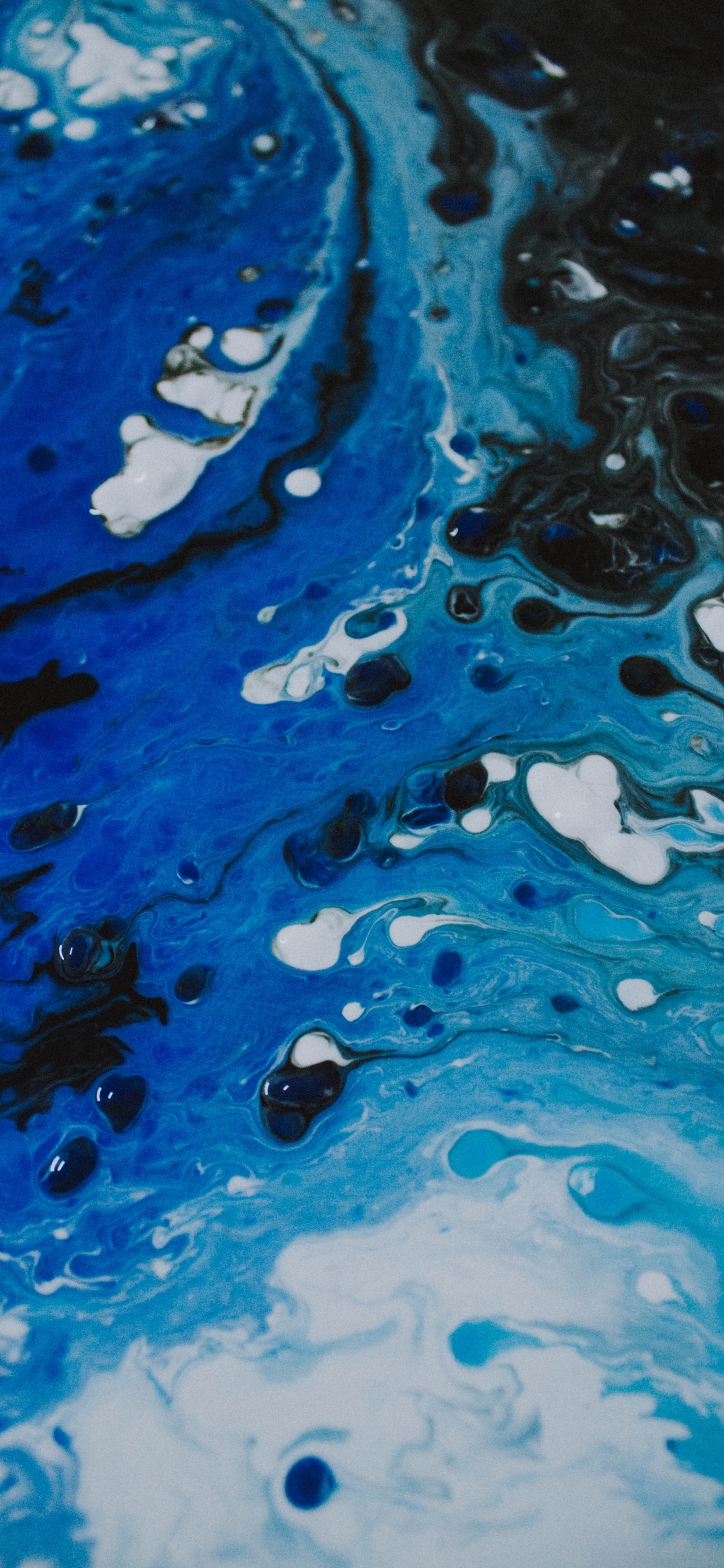 Обои синий, вода, Аква, бирюза, лазурный в разрешении 1242x2688