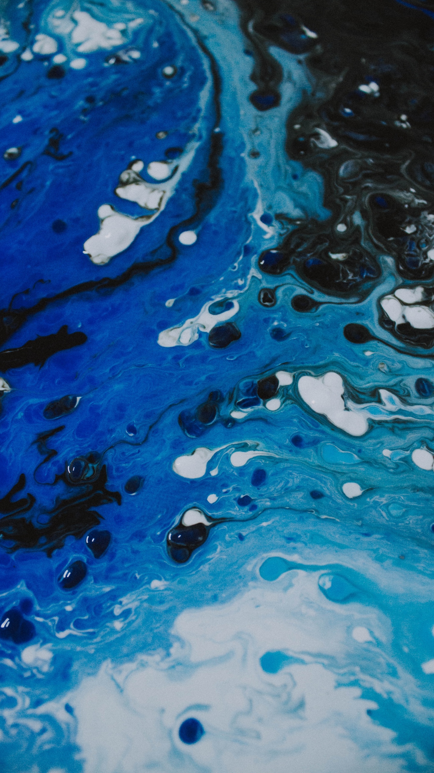 Обои синий, вода, Аква, бирюза, лазурный в разрешении 1440x2560