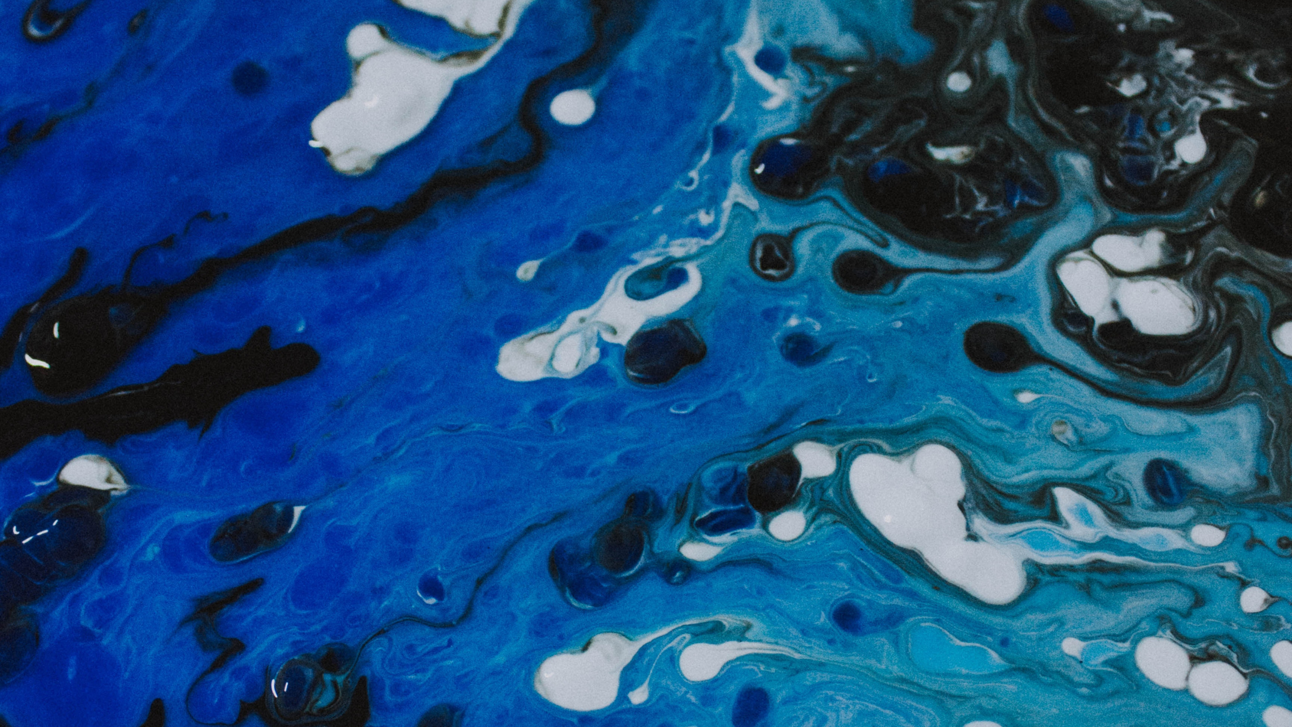 Обои синий, вода, Аква, бирюза, лазурный в разрешении 2560x1440