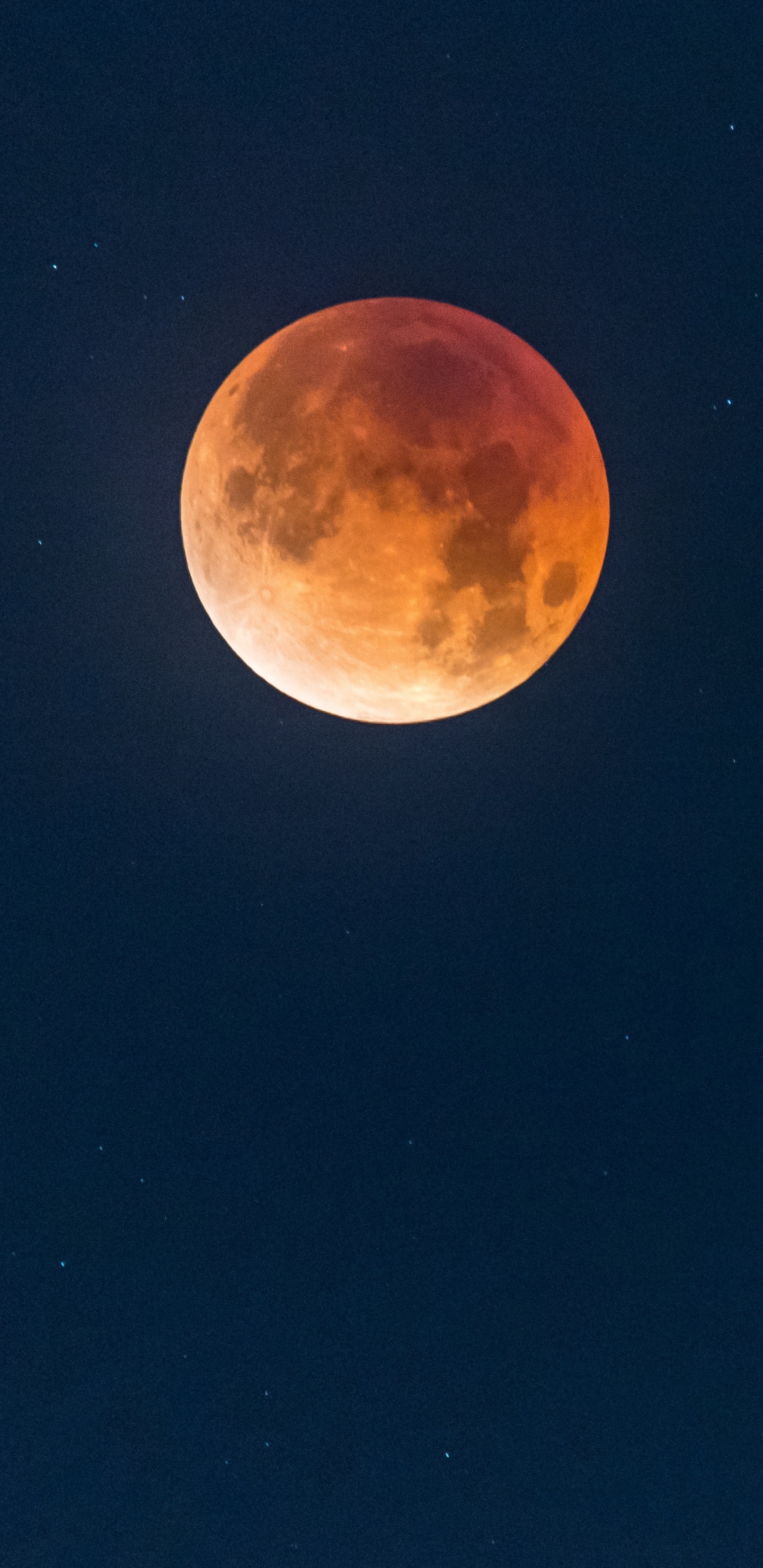 Обои луна, земля, голубая луна, лунный свет, небесное явление в разрешении 1440x2960