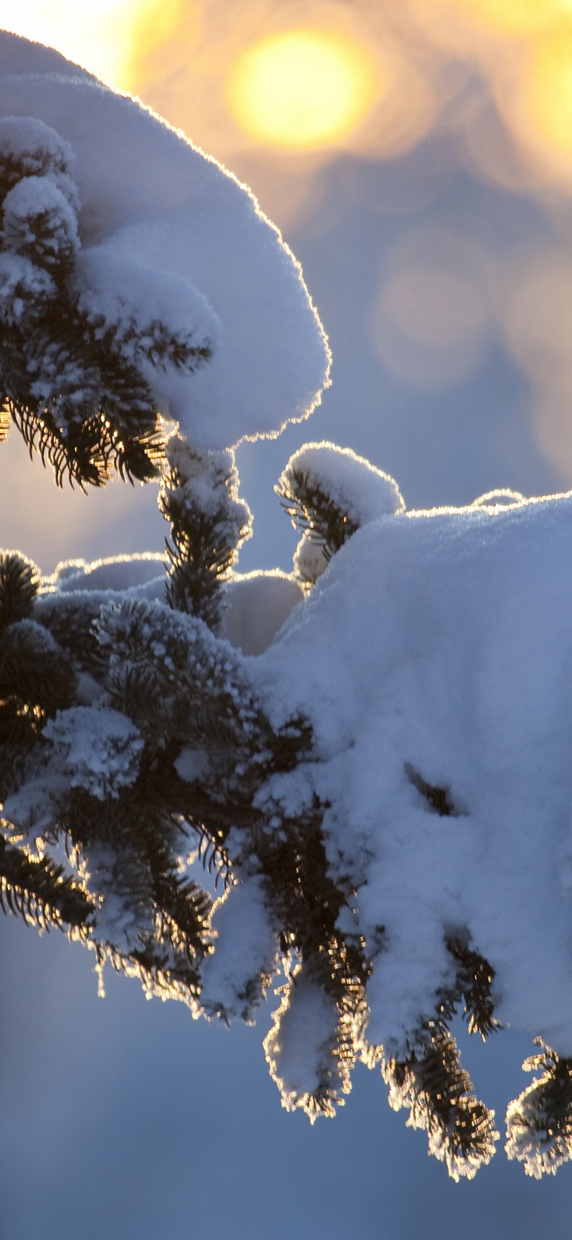 Обои зима, Казахстан, снег, осаждение, погода в разрешении 1125x2436