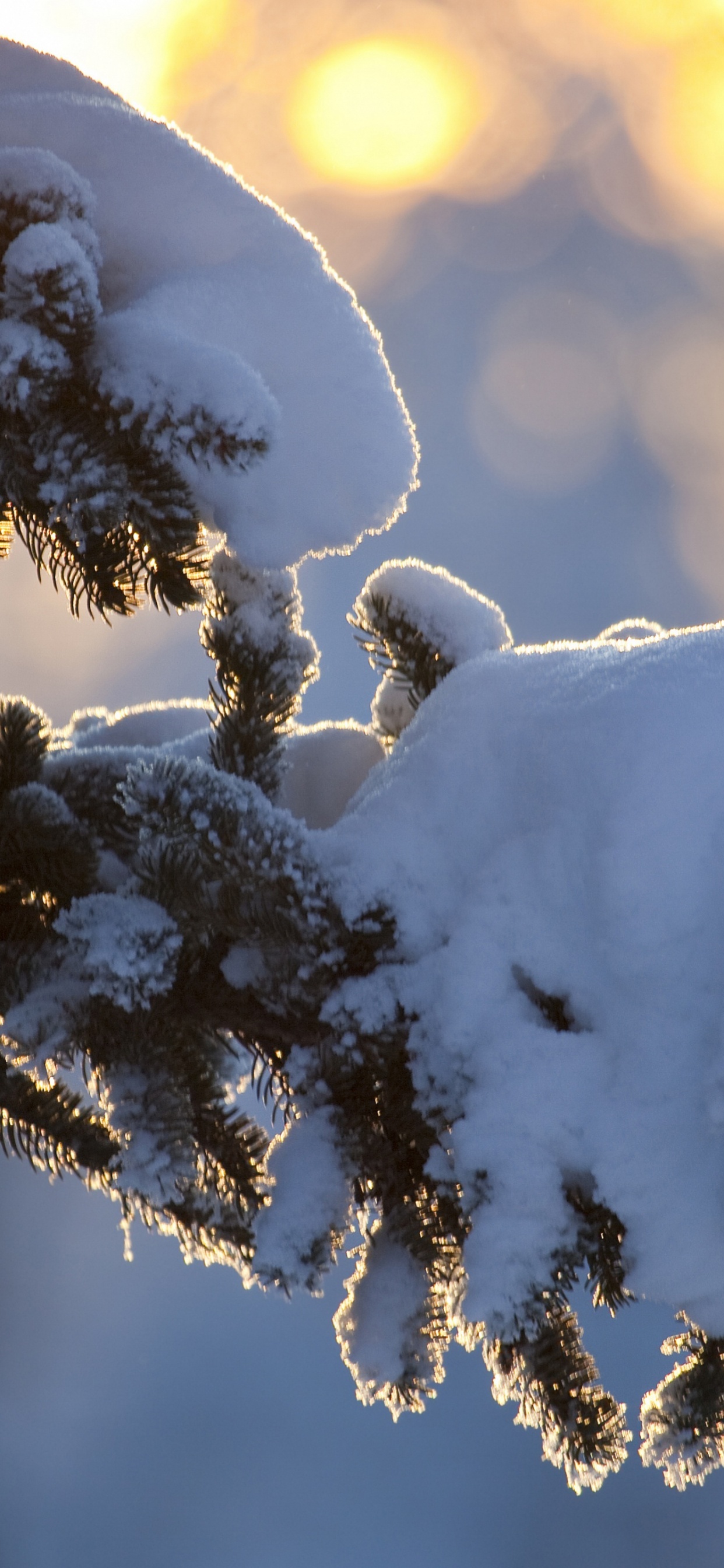 Обои зима, Казахстан, снег, осаждение, погода в разрешении 1242x2688