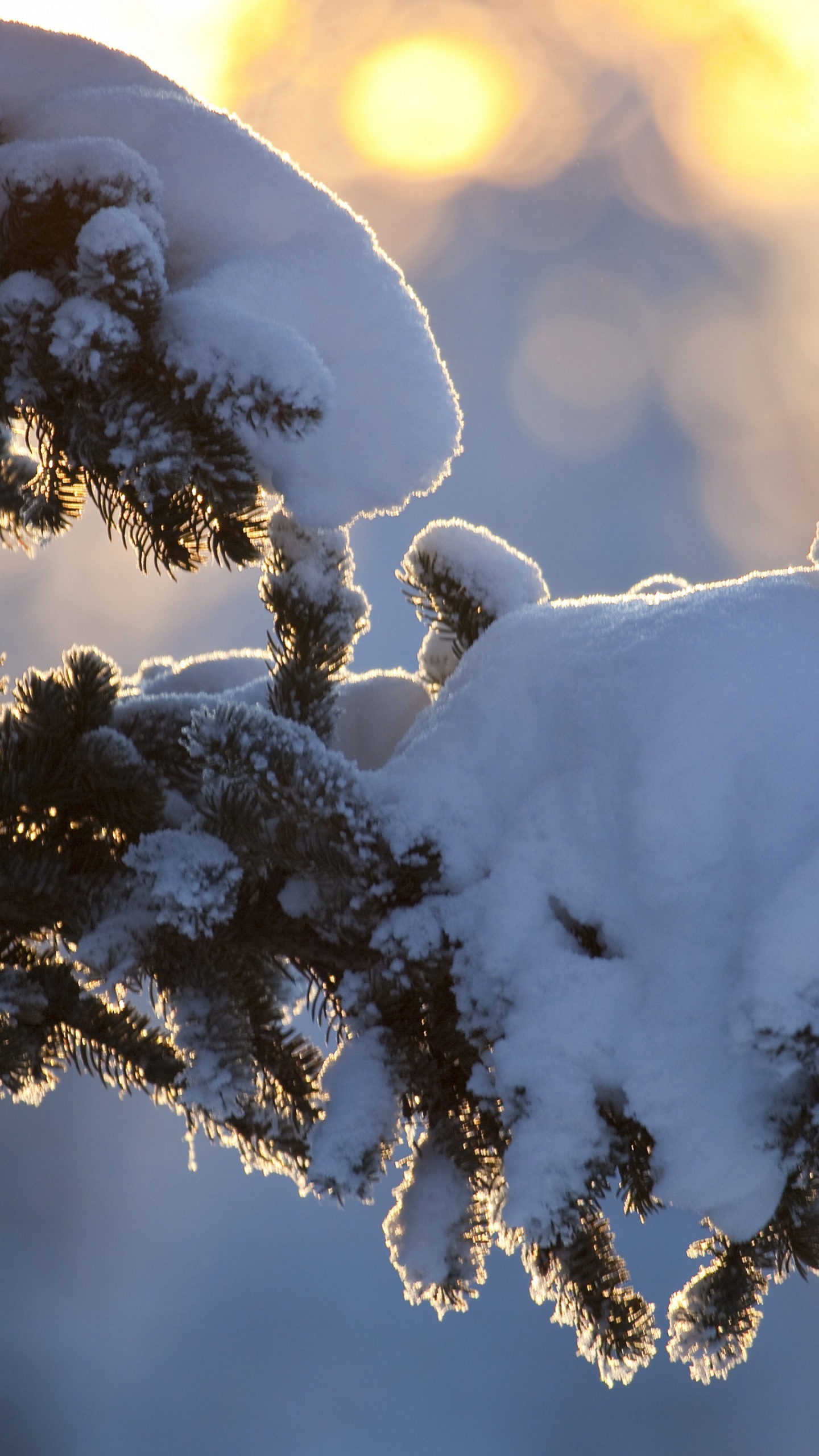 Обои зима, Казахстан, снег, осаждение, погода в разрешении 1440x2560