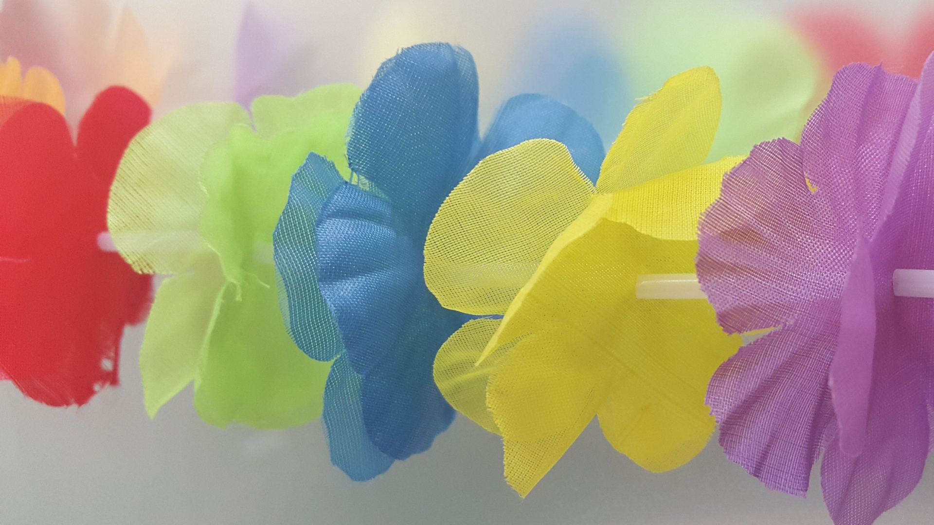 Обои Гавайи, лей, вечеринка, гавайский язык, желтый в разрешении 1920x1080