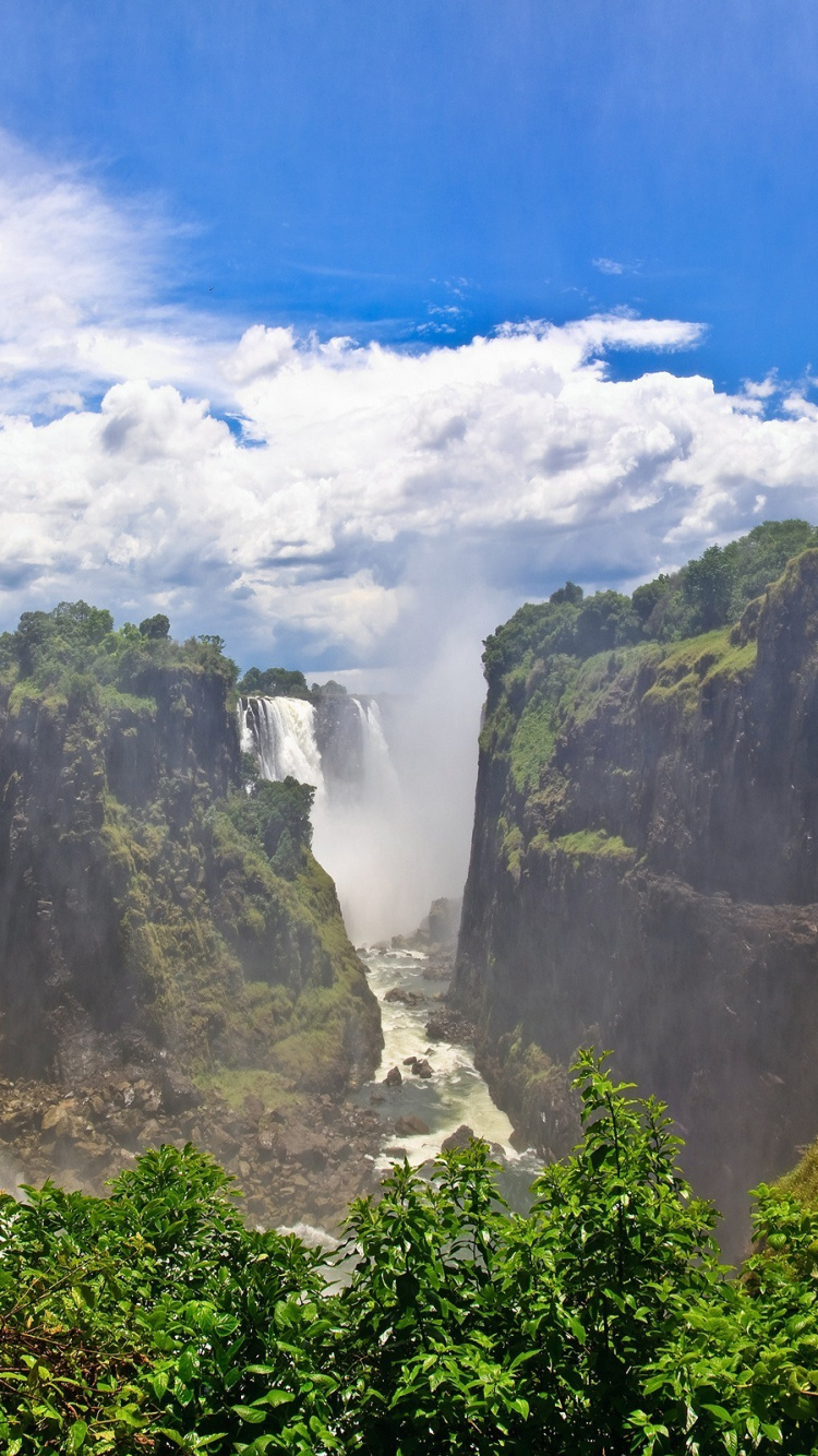 Обои природа, гидроресурсы, водопад, растительность, природный заповедник в разрешении 750x1334