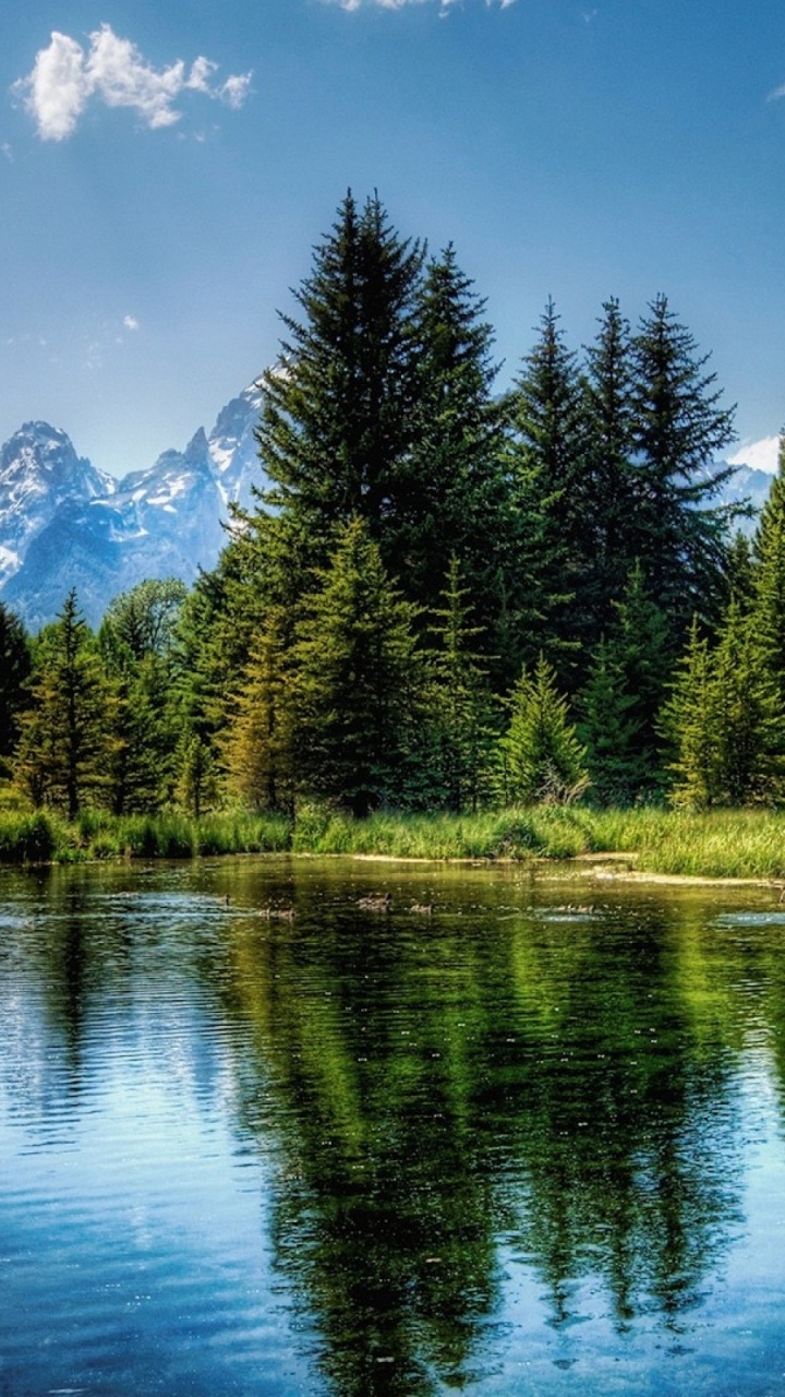 Обои отражение, природа, дикая местность, гора, природный заповедник в разрешении 720x1280