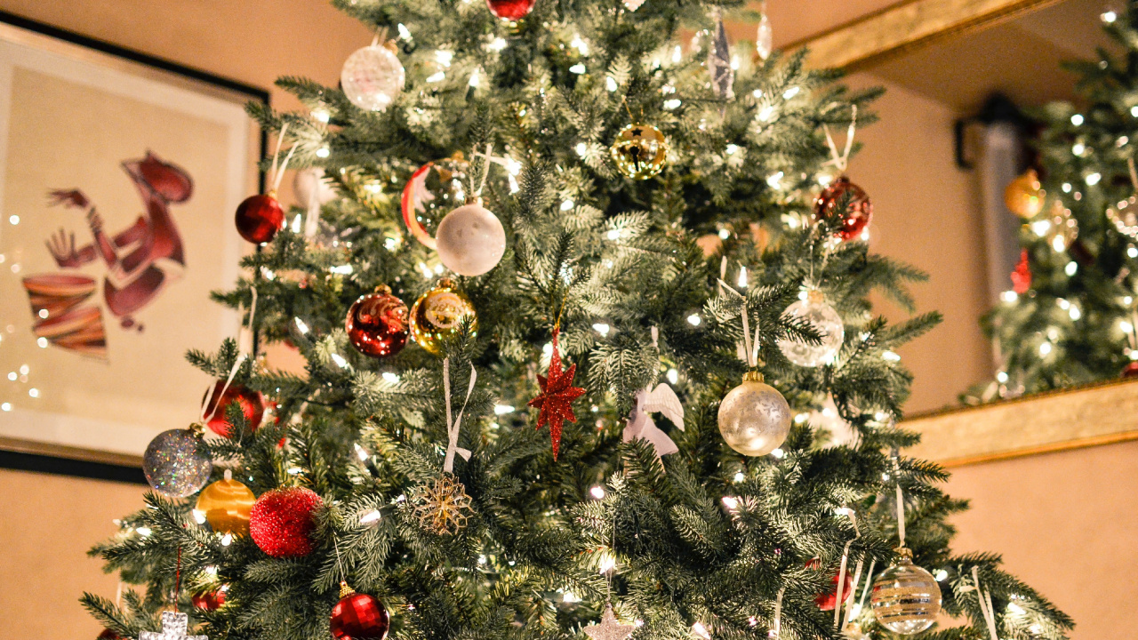 Обои елка, Рождественский день, Рождественские украшения, дерево, праздник в разрешении 1280x720