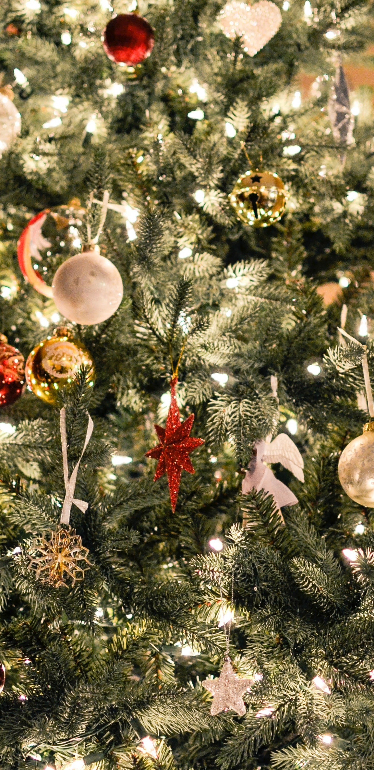 Обои елка, Рождественский день, Рождественские украшения, дерево, праздник в разрешении 1440x2960