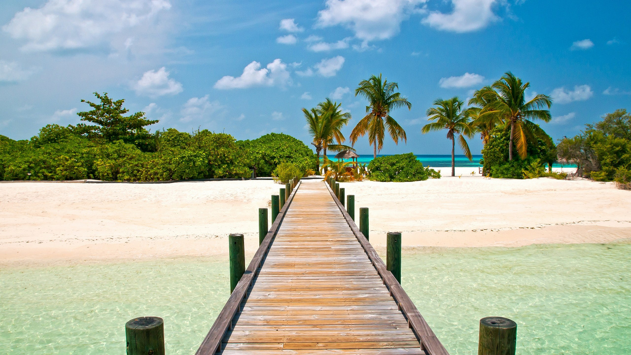 Обои пляж пирс, пляж, море, тропическая зона, дерево в разрешении 1280x720