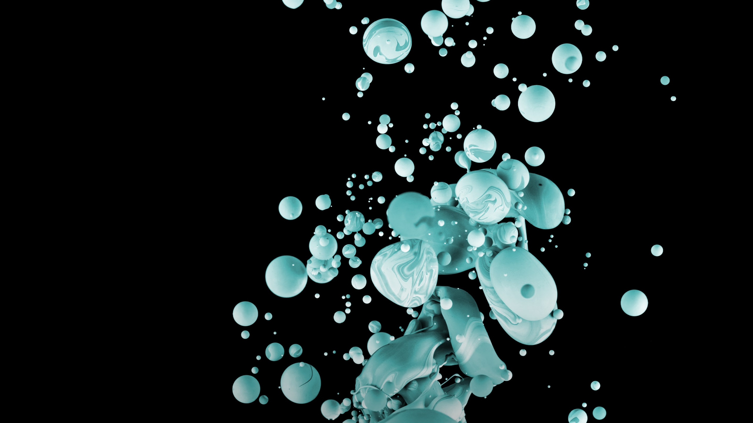 Обои HTC, HTC U11, цена htc ultra, У HTC U Ультра, htc u play в разрешении 2560x1440