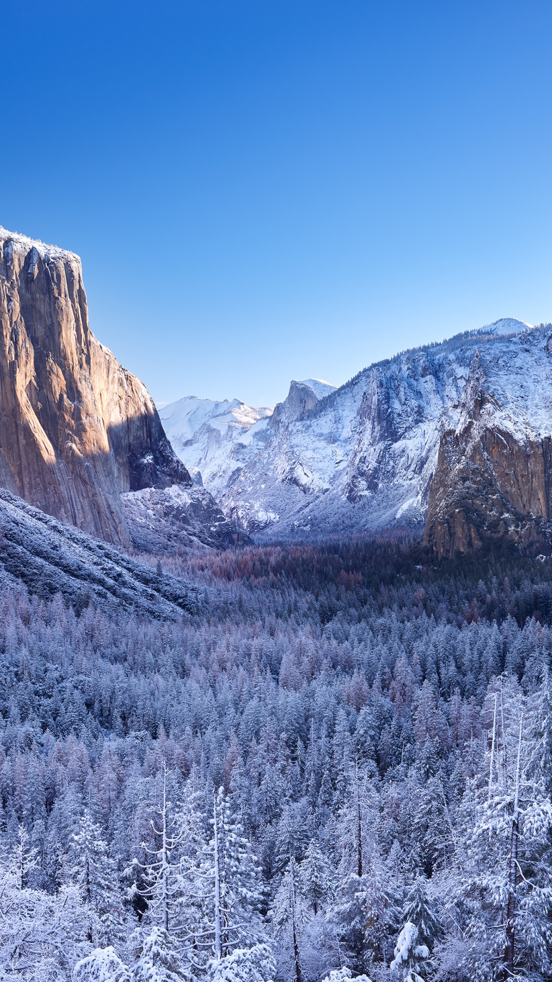Обои йосемитский национальный парк, йосемити, Эль-капитан, Точка Ледника, национальный парк в разрешении 1080x1920