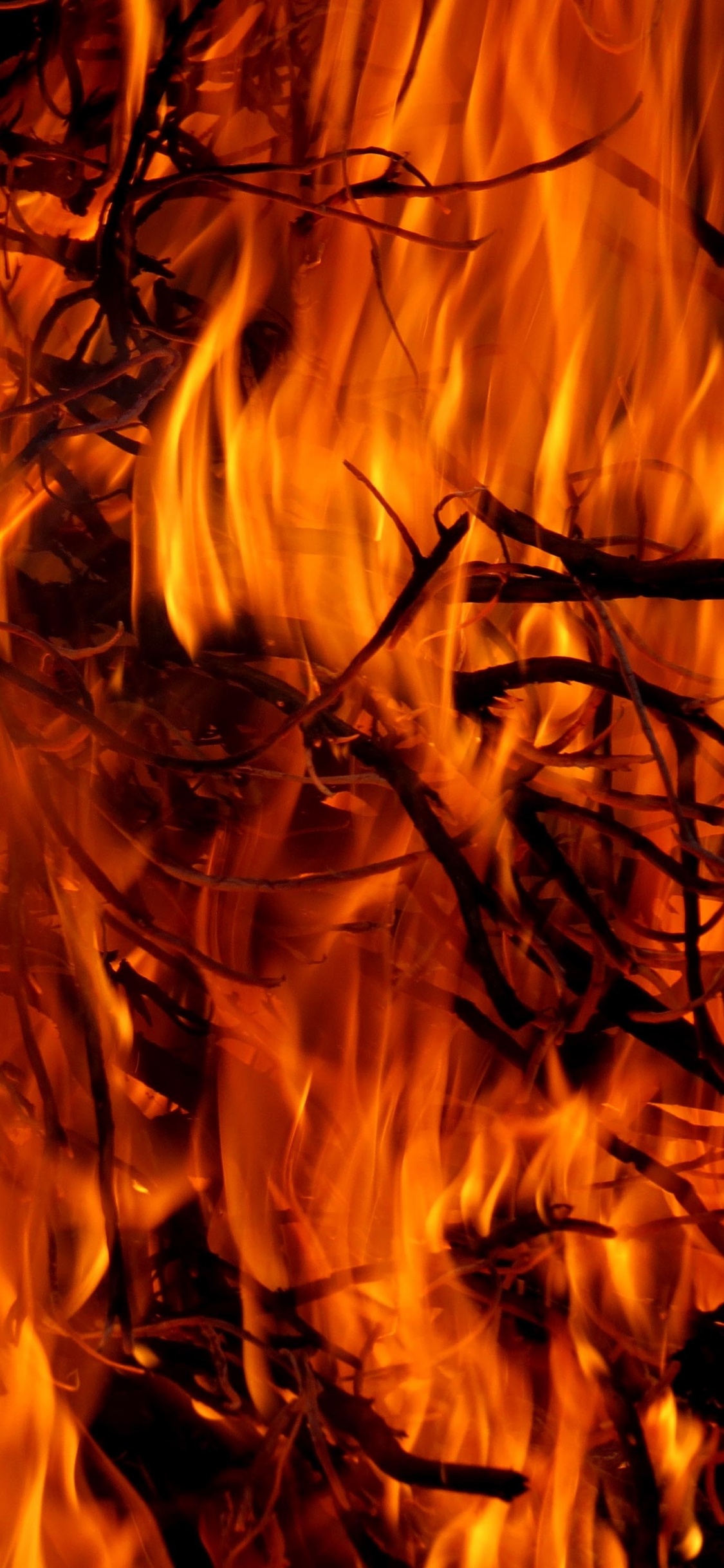 Обои огонь, пожар, пламя, тепло, костер в разрешении 1125x2436