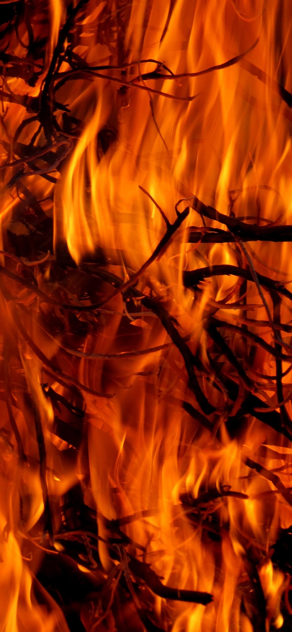 Обои огонь, пожар, пламя, тепло, костер в разрешении 1242x2688