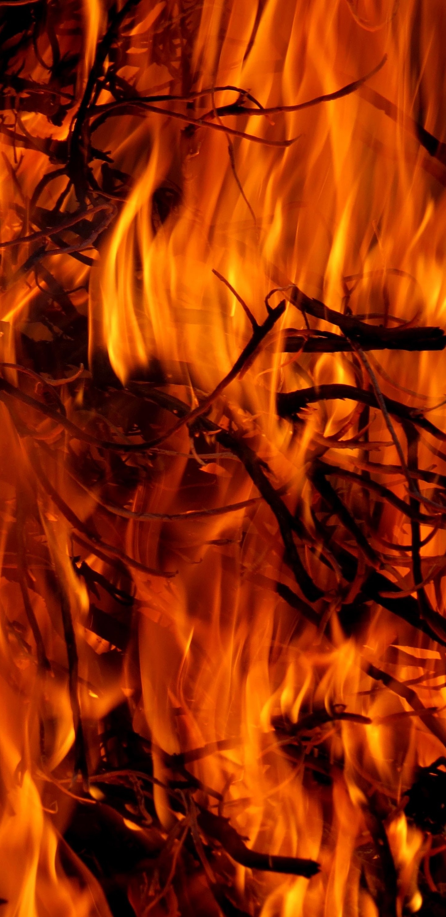 Обои огонь, пожар, пламя, тепло, костер в разрешении 1440x2960