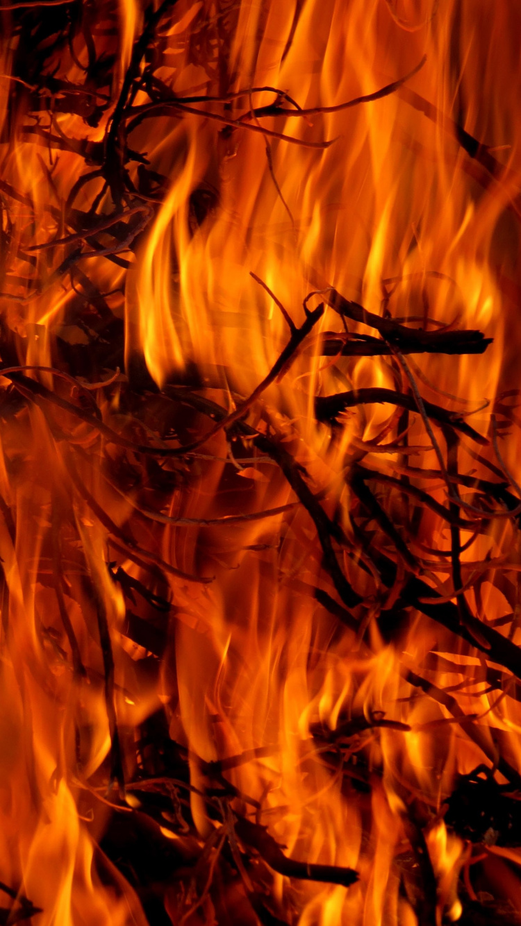 Обои огонь, пожар, пламя, тепло, костер в разрешении 750x1334