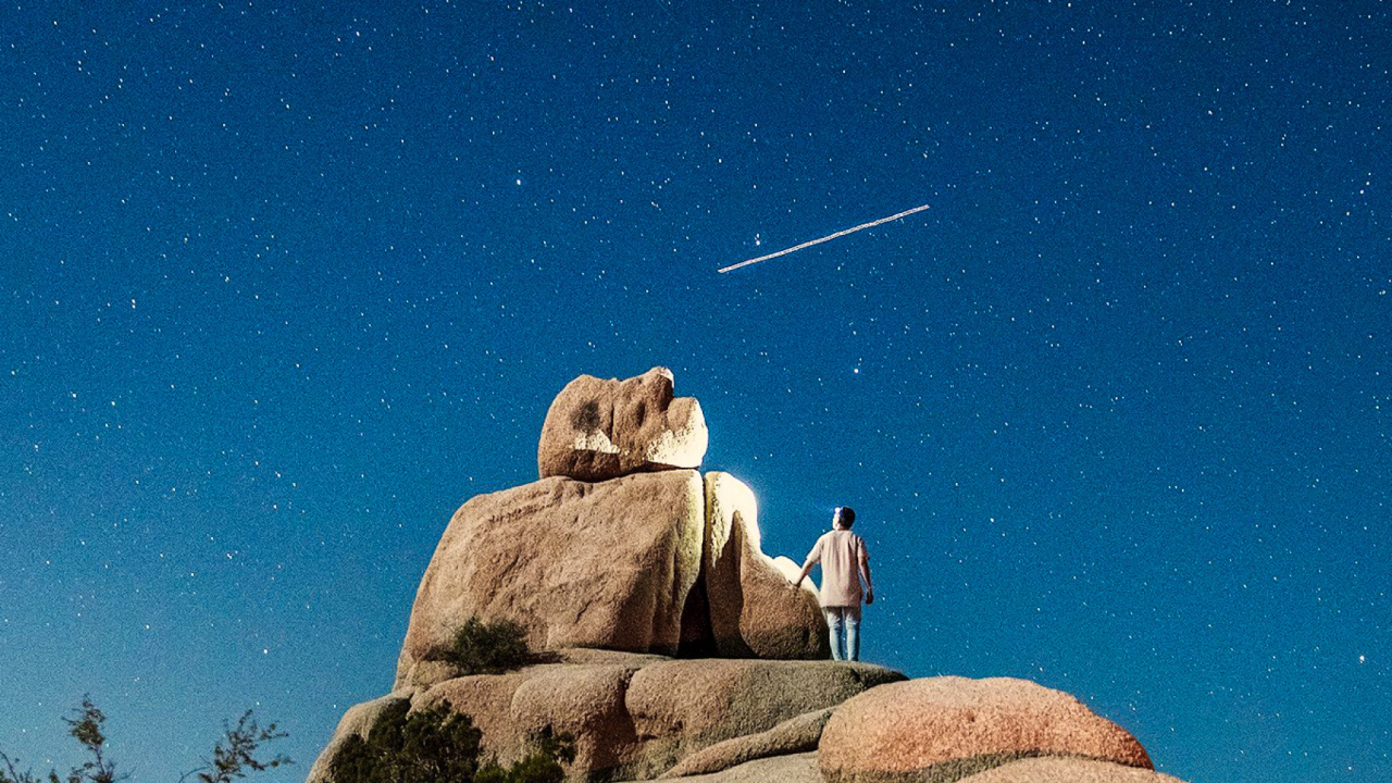Обои дерево Джошуа национальный парк, национальный парк, парк, яблоко, экорегион в разрешении 1280x720