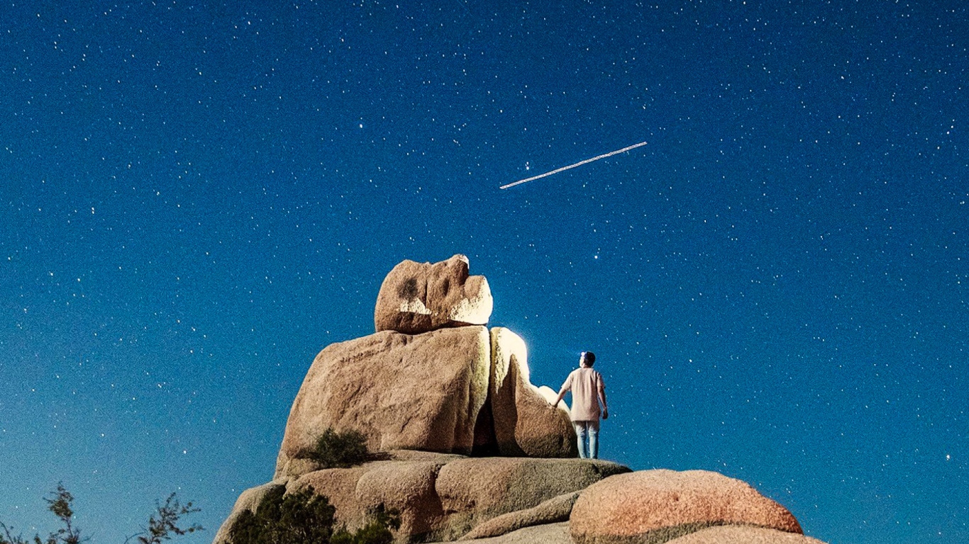 Обои дерево Джошуа национальный парк, национальный парк, парк, яблоко, экорегион в разрешении 1366x768