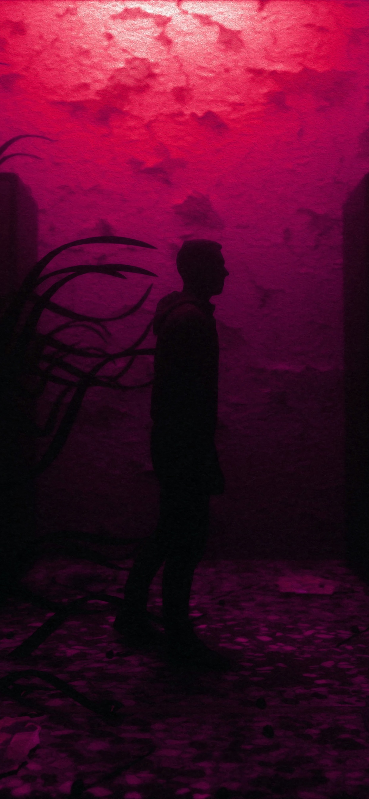 Обои красный цвет, пурпур, синий, свет, Фиолетовый в разрешении 1242x2688