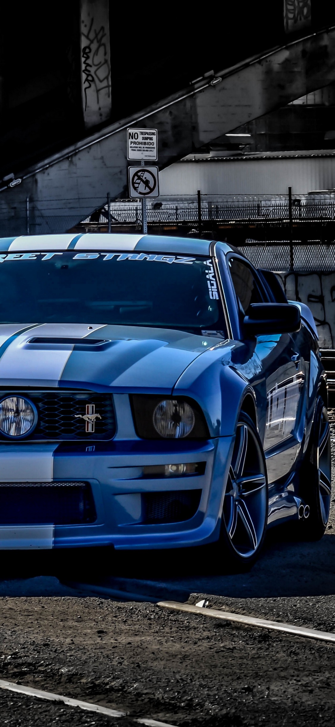 Обои легковые автомобили, колесо, шина, решетка, капюшон в разрешении 1125x2436