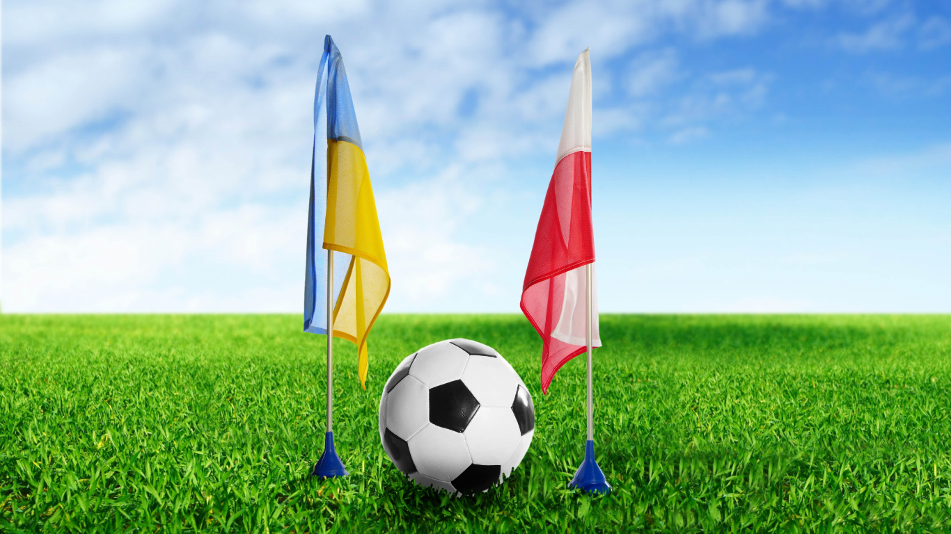 Обои мяч, растение, футбольное поле, небо, луг в разрешении 1366x768