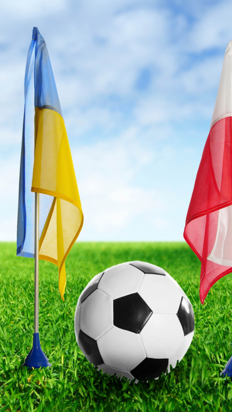 Обои мяч, растение, футбольное поле, небо, луг в разрешении 750x1334