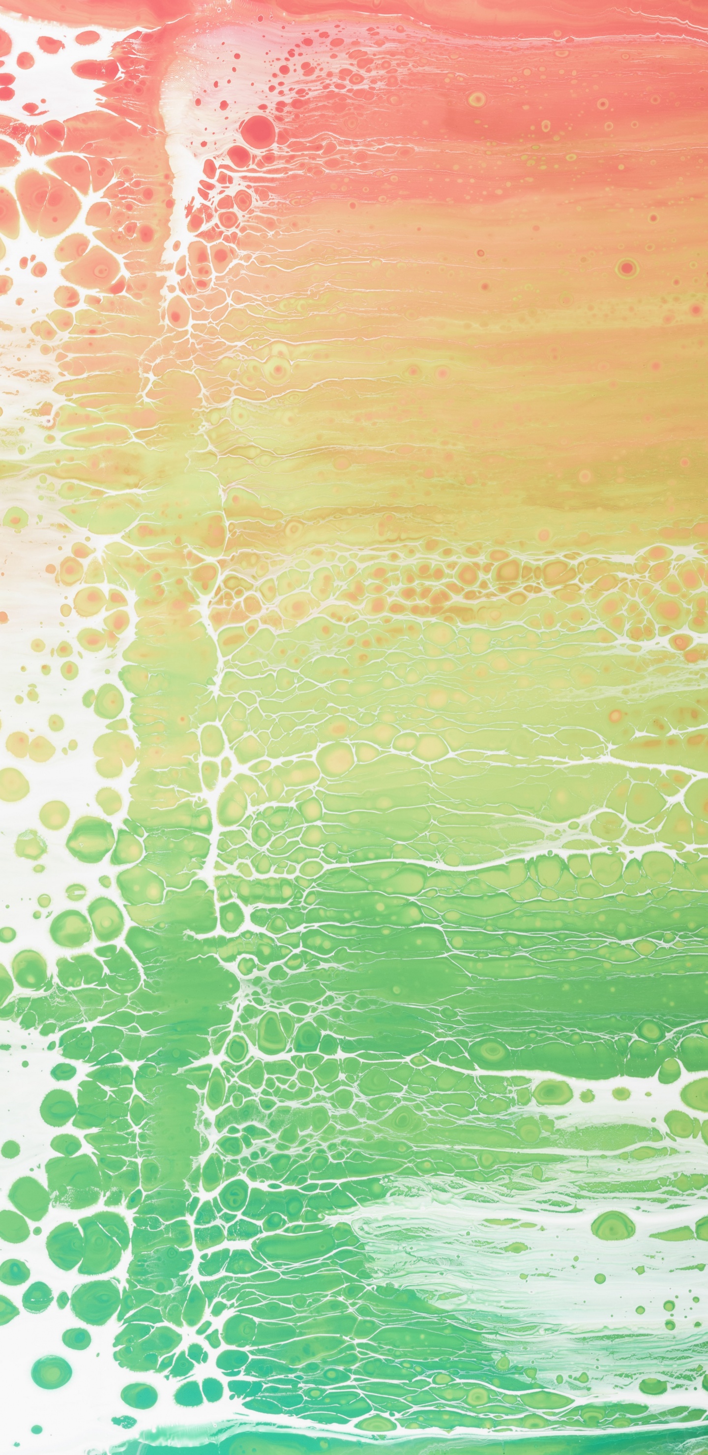 Обои зеленый, вода, Аква, бирюза, солнечный свет в разрешении 1440x2960