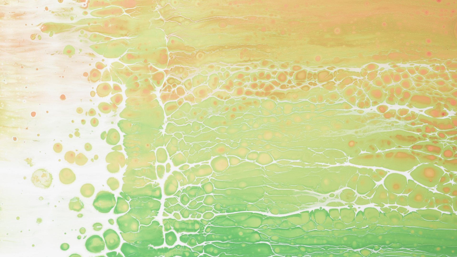 Обои зеленый, вода, Аква, бирюза, солнечный свет в разрешении 1920x1080