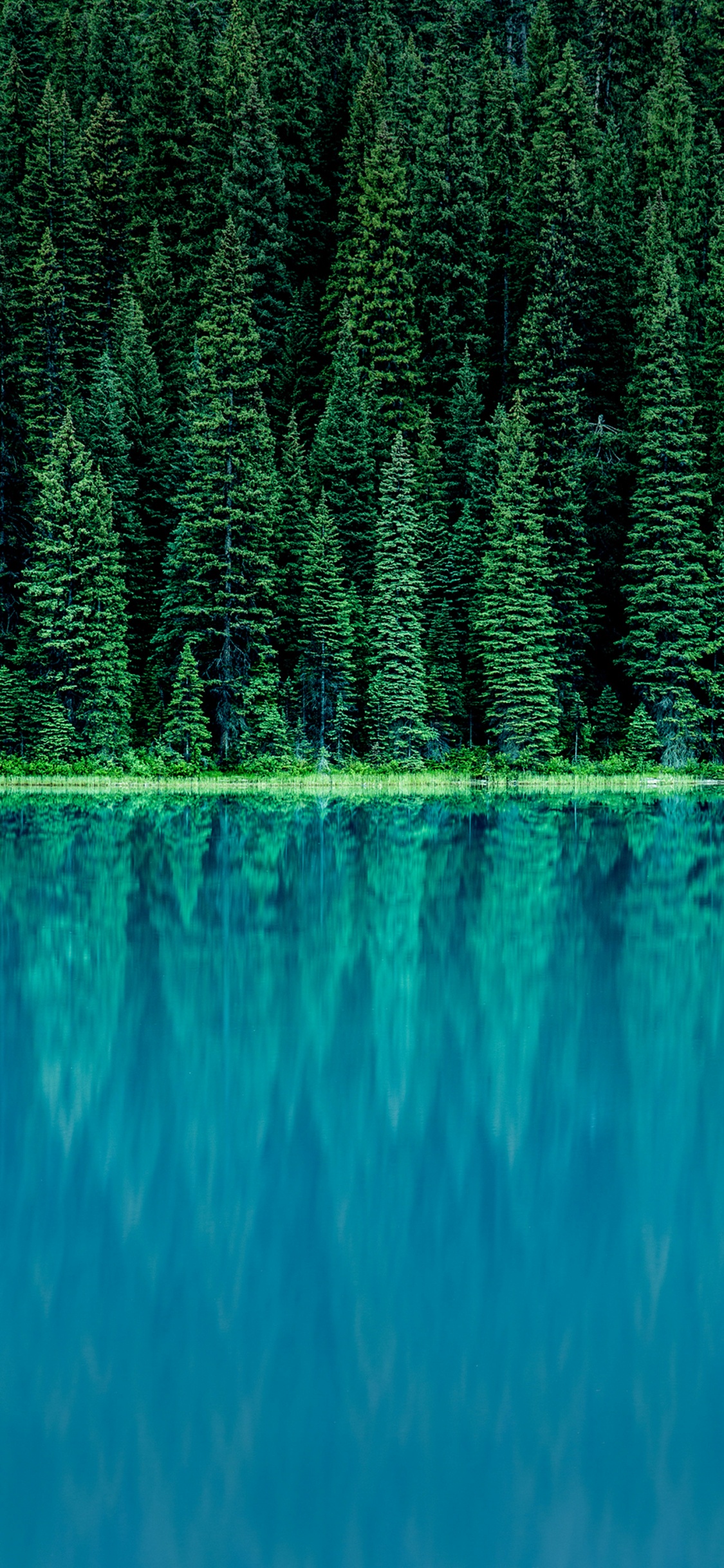 Обои LG, LG G6, корпоративные финансы, основы корпоративных финансов, Финансы в разрешении 1125x2436