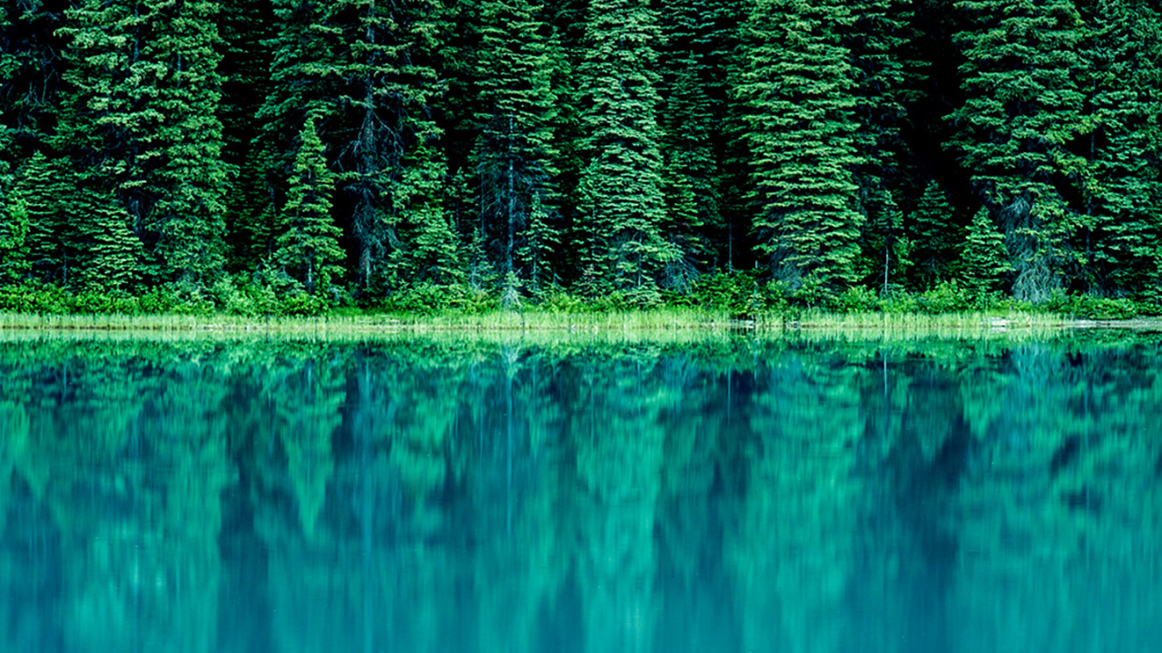 Обои LG, LG G6, корпоративные финансы, основы корпоративных финансов, Финансы в разрешении 1280x720