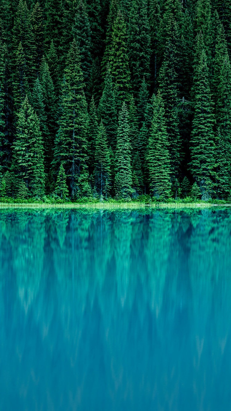 Обои LG, LG G6, корпоративные финансы, основы корпоративных финансов, Финансы в разрешении 750x1334