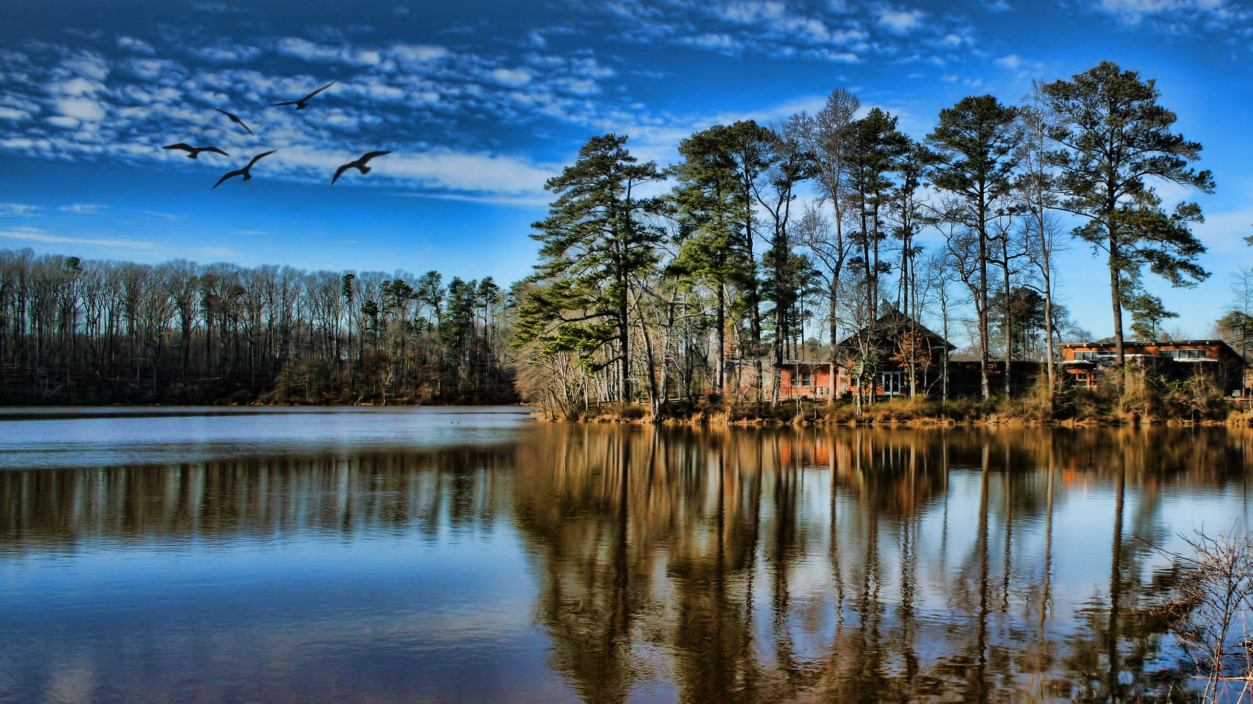 Обои Йейтс мельница, отражение, природа, дерево, вода в разрешении 2560x1440