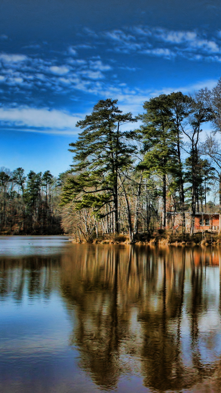 Обои Йейтс мельница, отражение, природа, дерево, вода в разрешении 750x1334