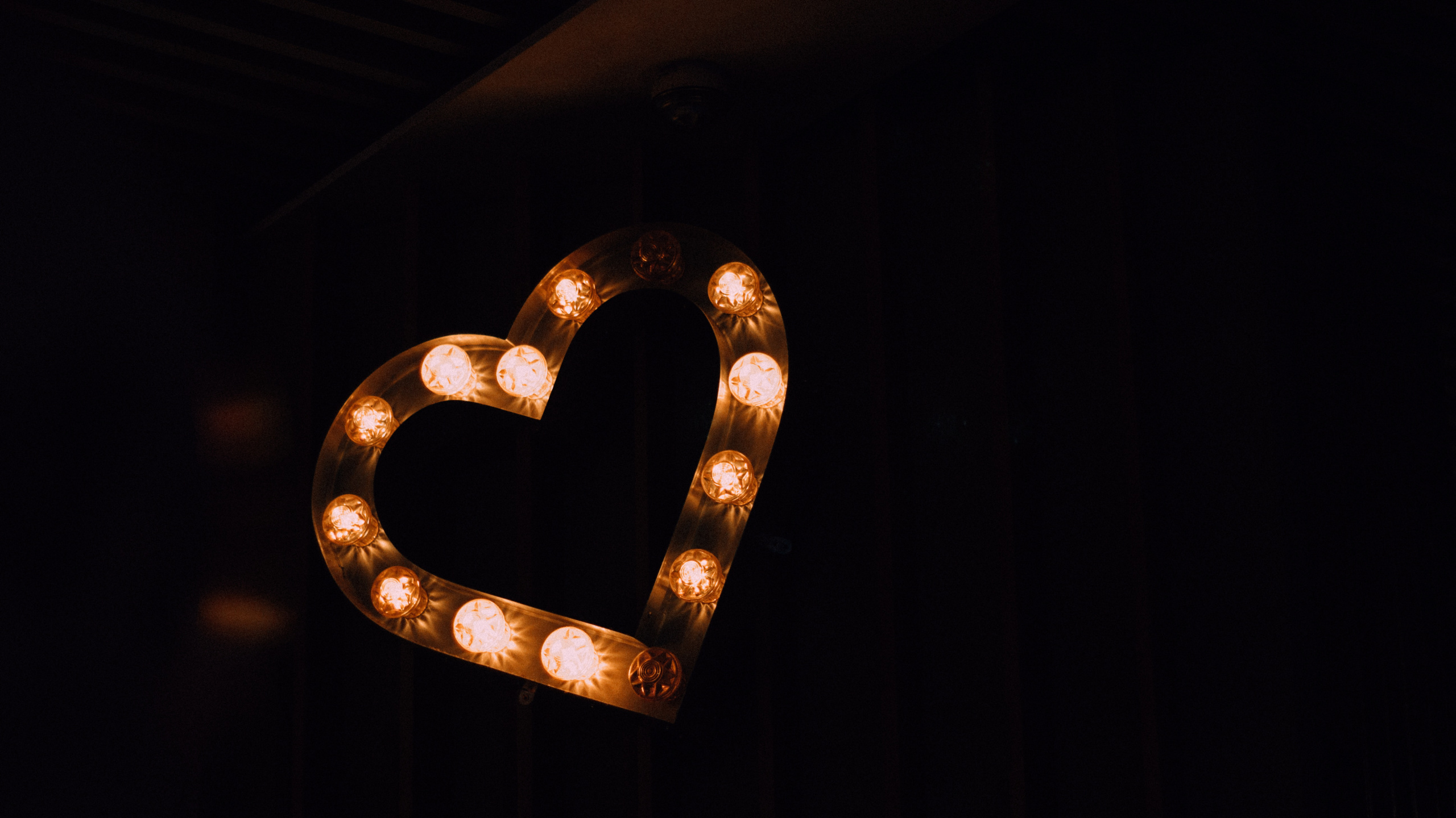 Обои сердце, орган, любовь, металл, свет в разрешении 2560x1440