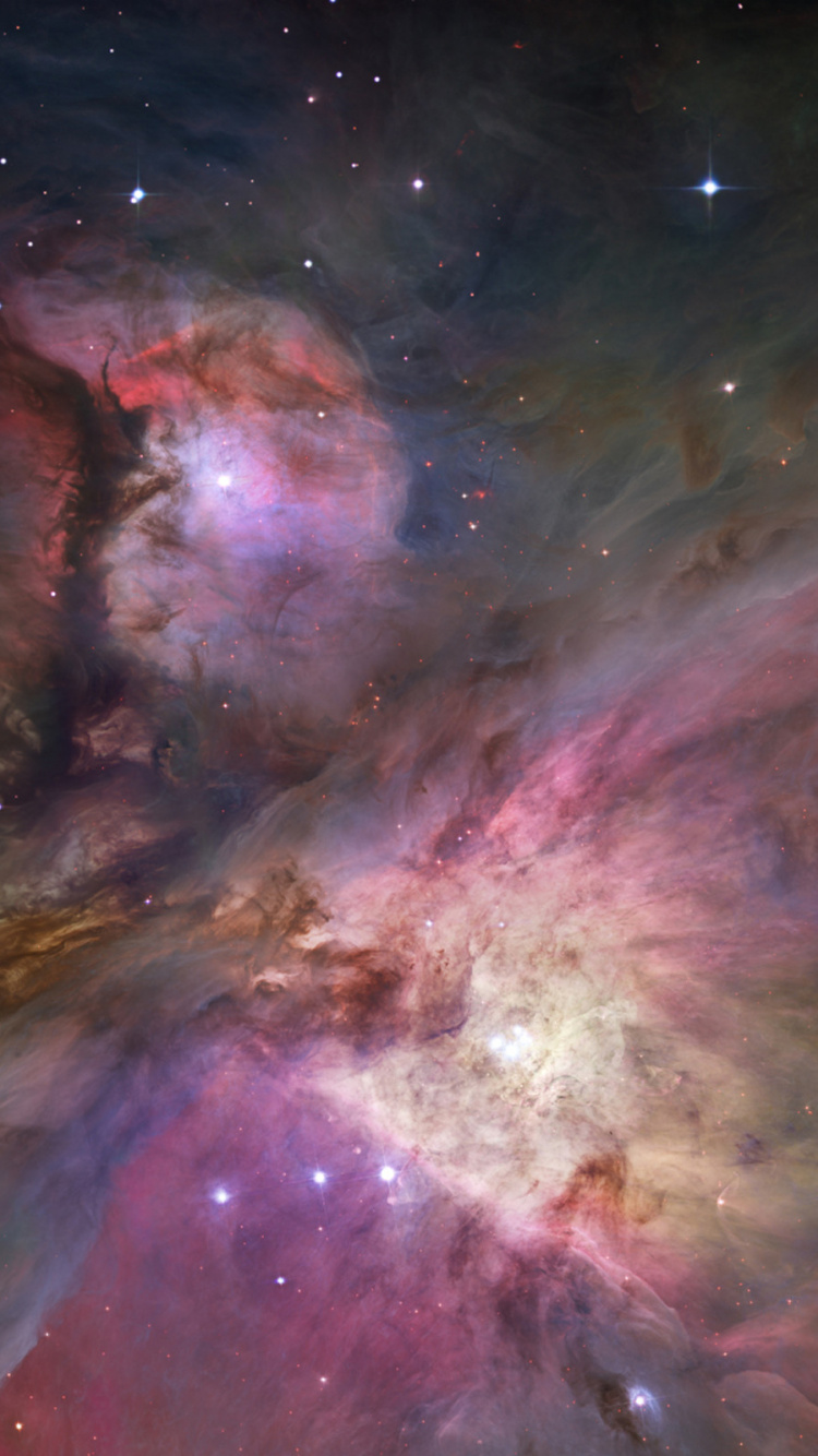 Обои Туманность Ориона, туманность, космический телескоп Хаббл, Орион, Астрономия в разрешении 750x1334