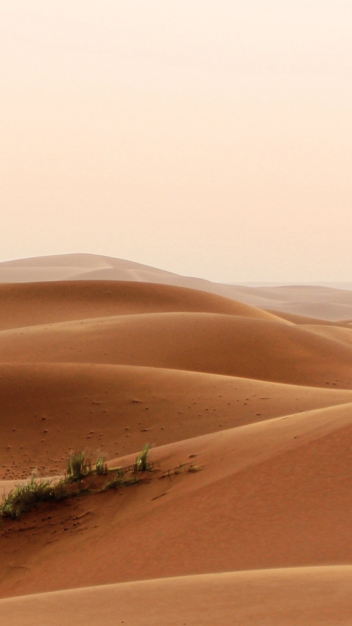 Обои пустыня, Дюна, песок, эрг, эолийские рельефы в разрешении 720x1280