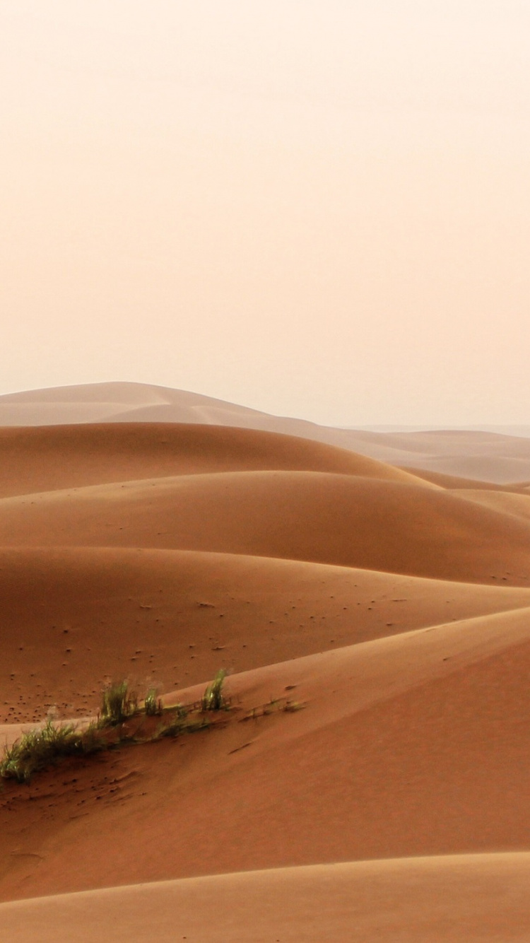 Обои пустыня, Дюна, песок, эрг, эолийские рельефы в разрешении 750x1334