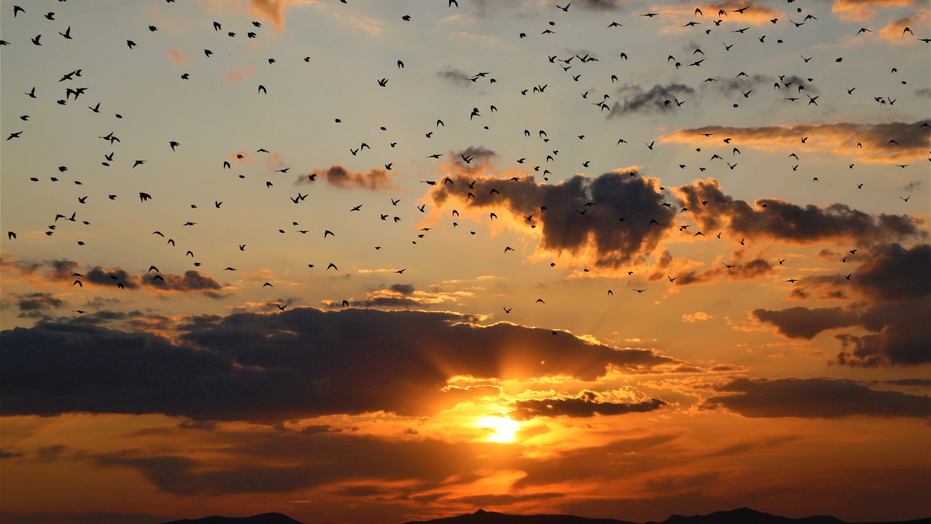 Обои закат, облако, восход солнца, послесвечение, горизонт в разрешении 1920x1080