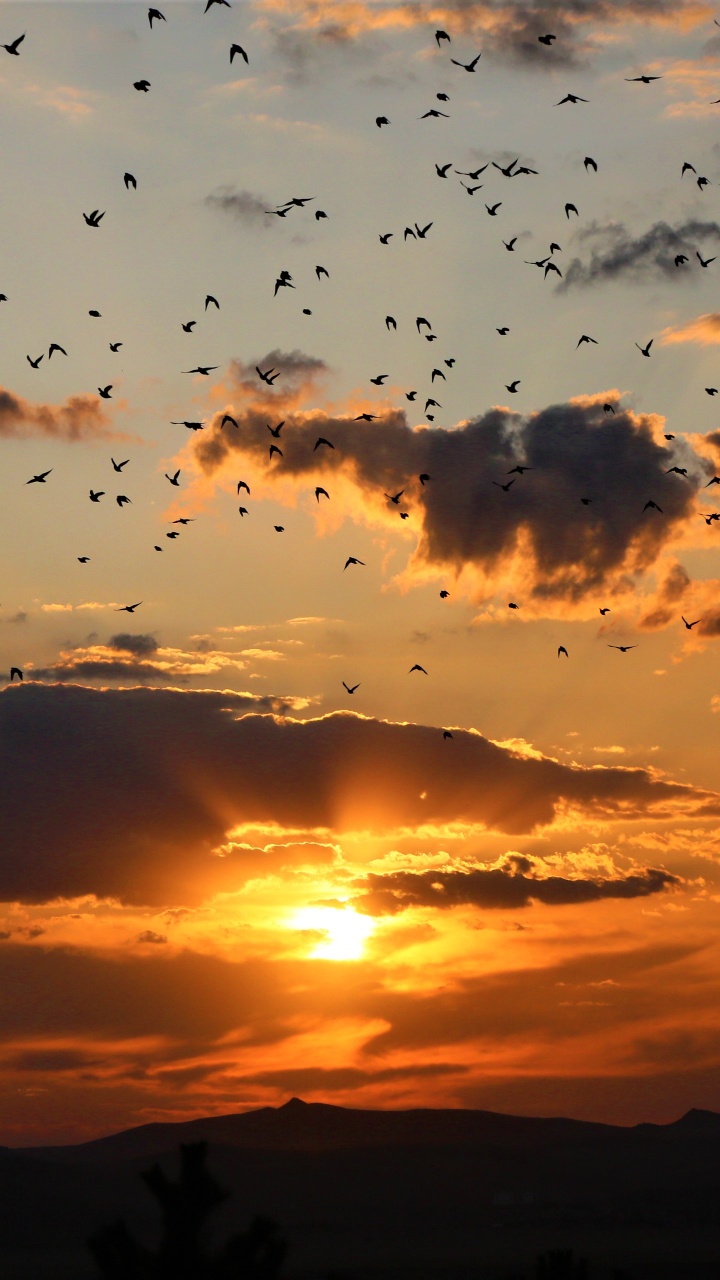 Обои закат, облако, восход солнца, послесвечение, горизонт в разрешении 720x1280