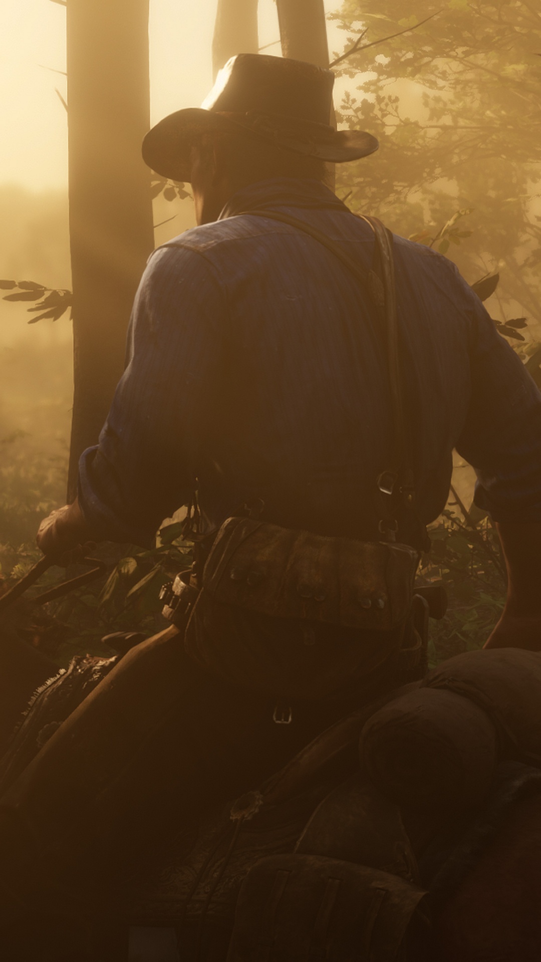 Обои red dead redemption 2, red dead redemption, Рокстар игры, playstation 4, конь в разрешении 1080x1920