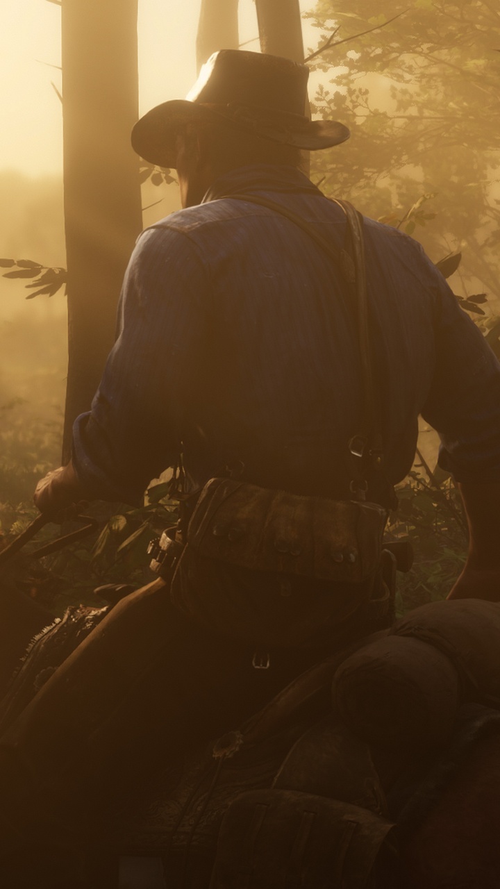 Обои red dead redemption 2, red dead redemption, Рокстар игры, playstation 4, конь в разрешении 720x1280