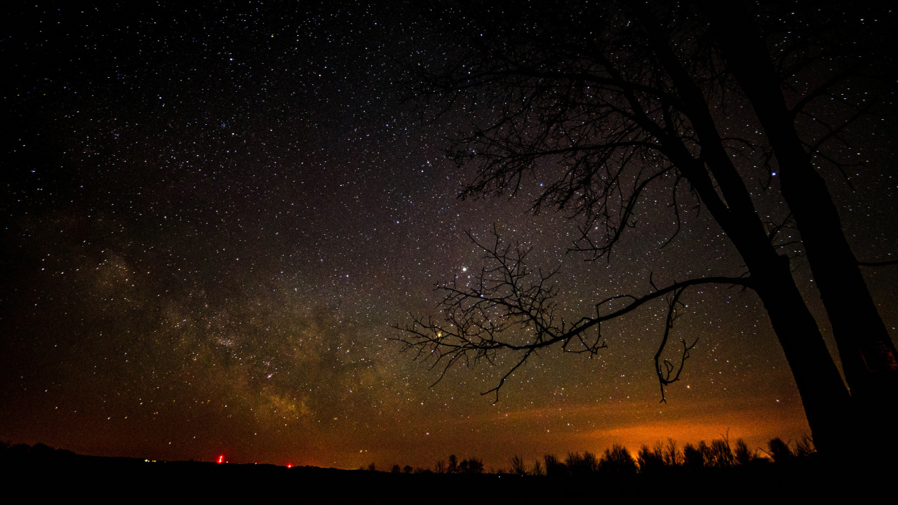 Обои ночь, ночное небо, звезда, природа, дерево в разрешении 1280x720