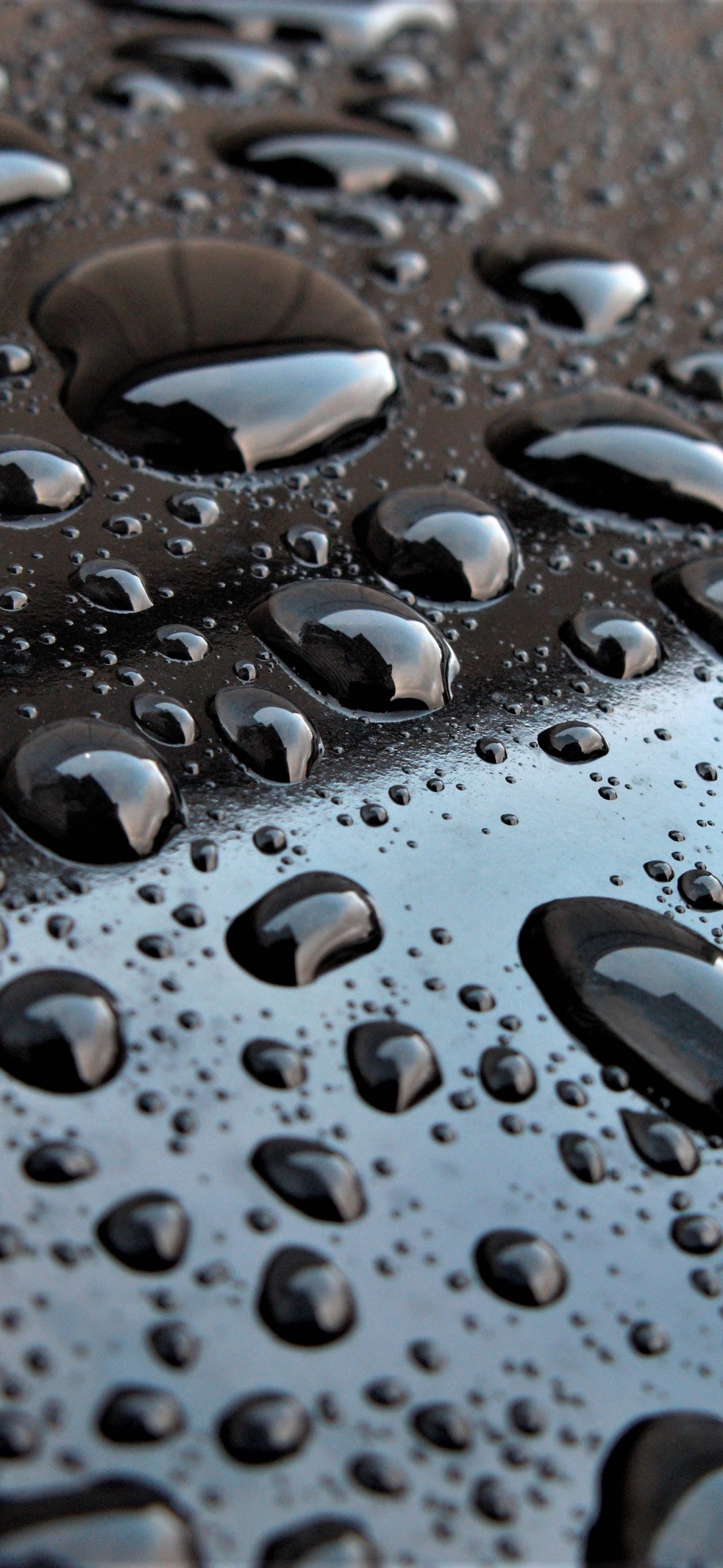 Обои вода, падение, влага, роса, осаждение в разрешении 1125x2436