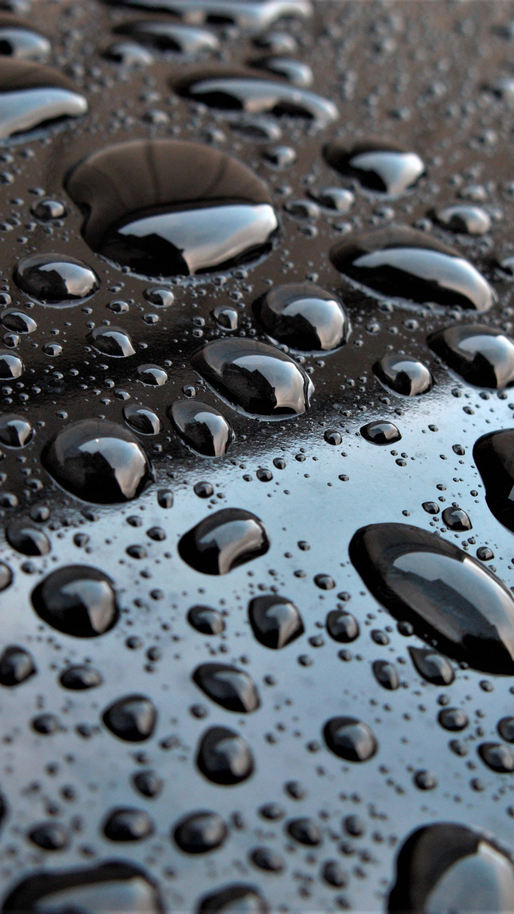 Обои вода, падение, влага, роса, осаждение в разрешении 750x1334