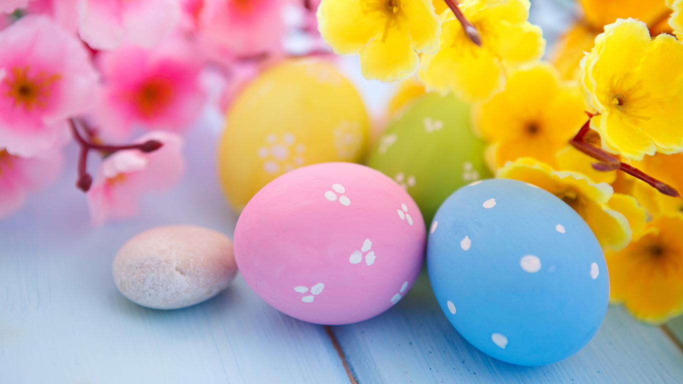 Обои пасхальное яйцо, цветок, желтый, пасха, яйцо в разрешении 1366x768