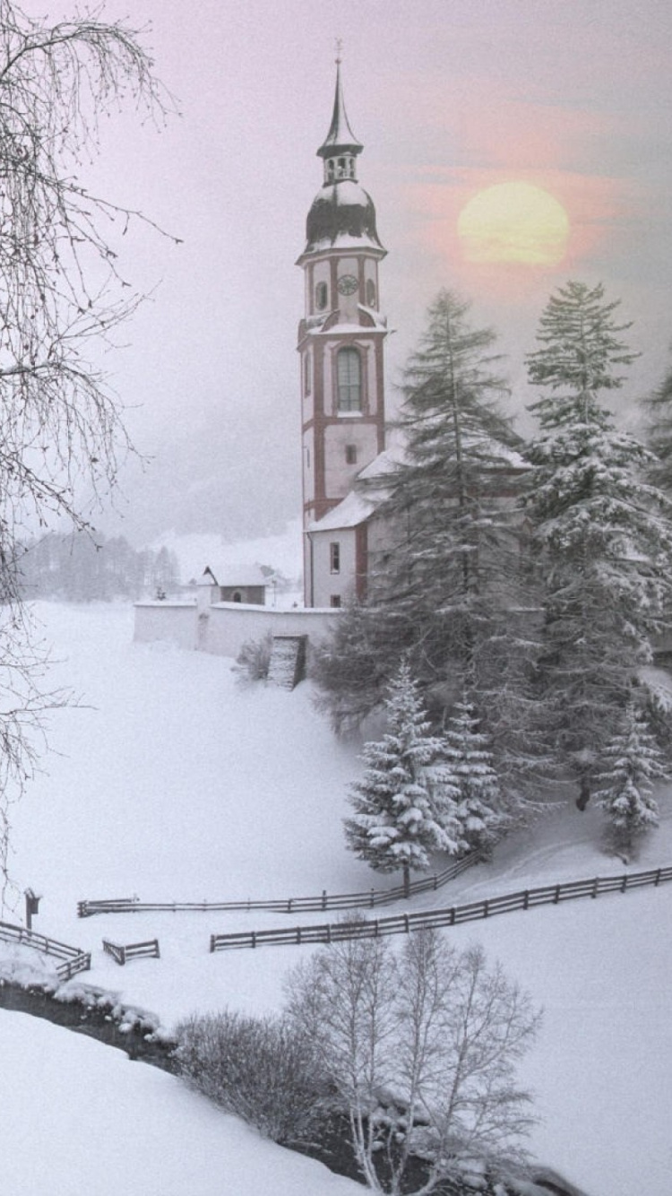 Обои снег, зима, дерево, замораживание, метель в разрешении 750x1334