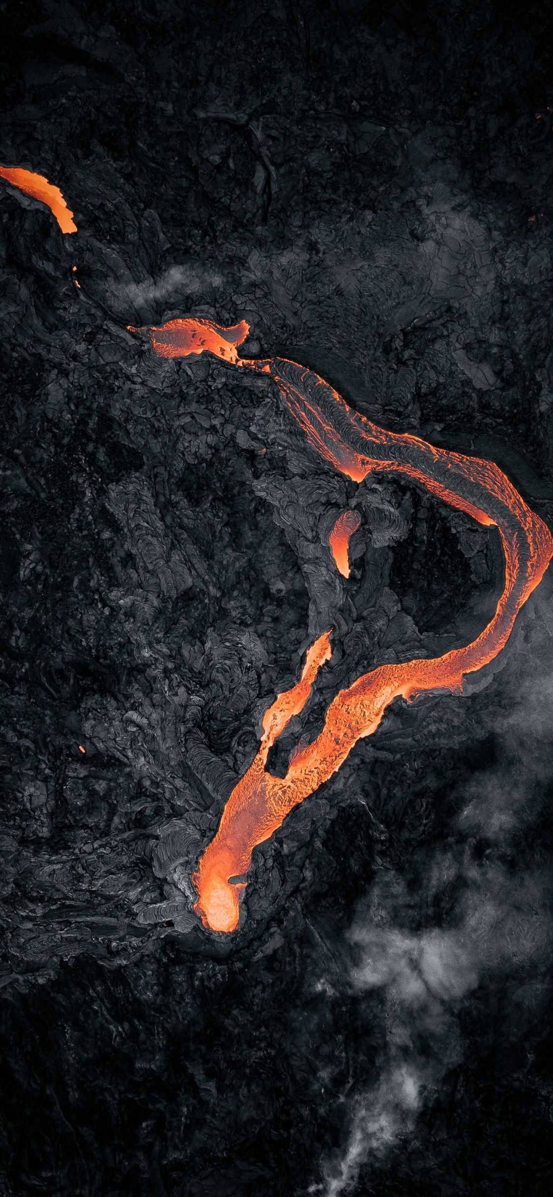 Обои Оранжевый цвет, он же афк, спотифай, Looney Tunes Риддим Билл Гейтс, дизер в разрешении 1125x2436