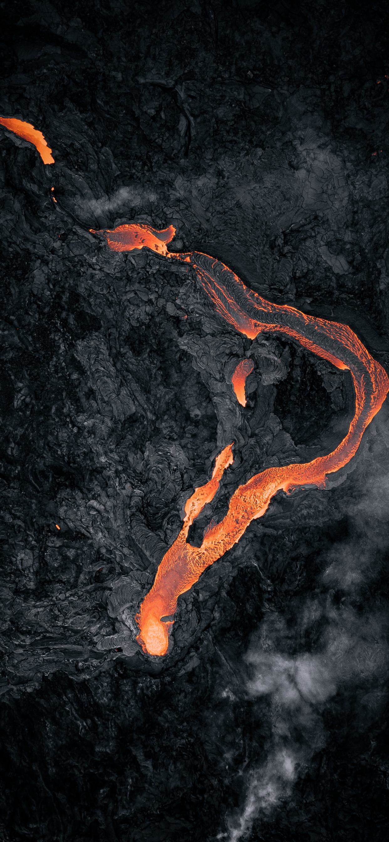 Обои Оранжевый цвет, он же афк, спотифай, Looney Tunes Риддим Билл Гейтс, дизер в разрешении 1242x2688