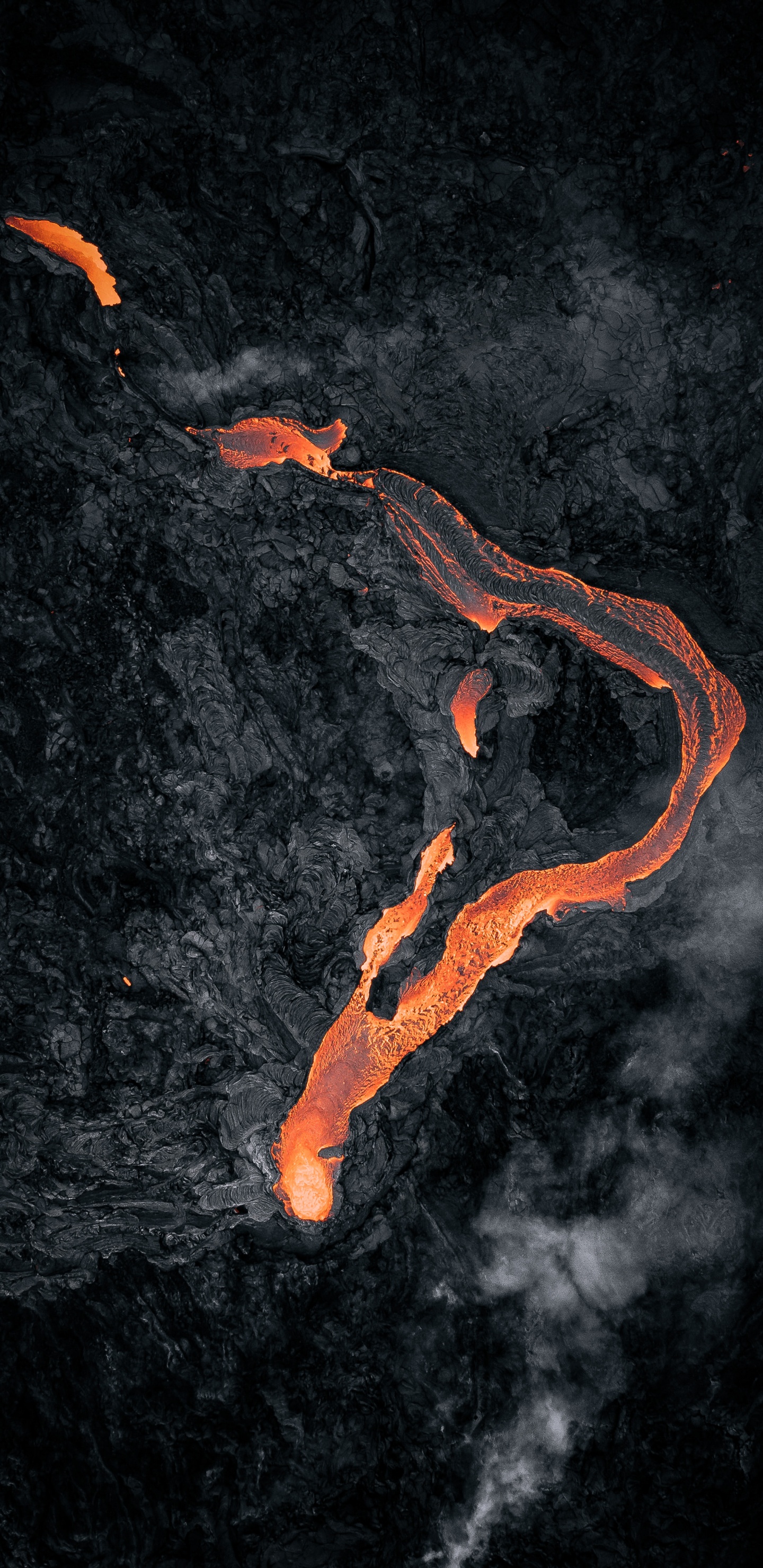 Обои Оранжевый цвет, он же афк, спотифай, Looney Tunes Риддим Билл Гейтс, дизер в разрешении 1440x2960