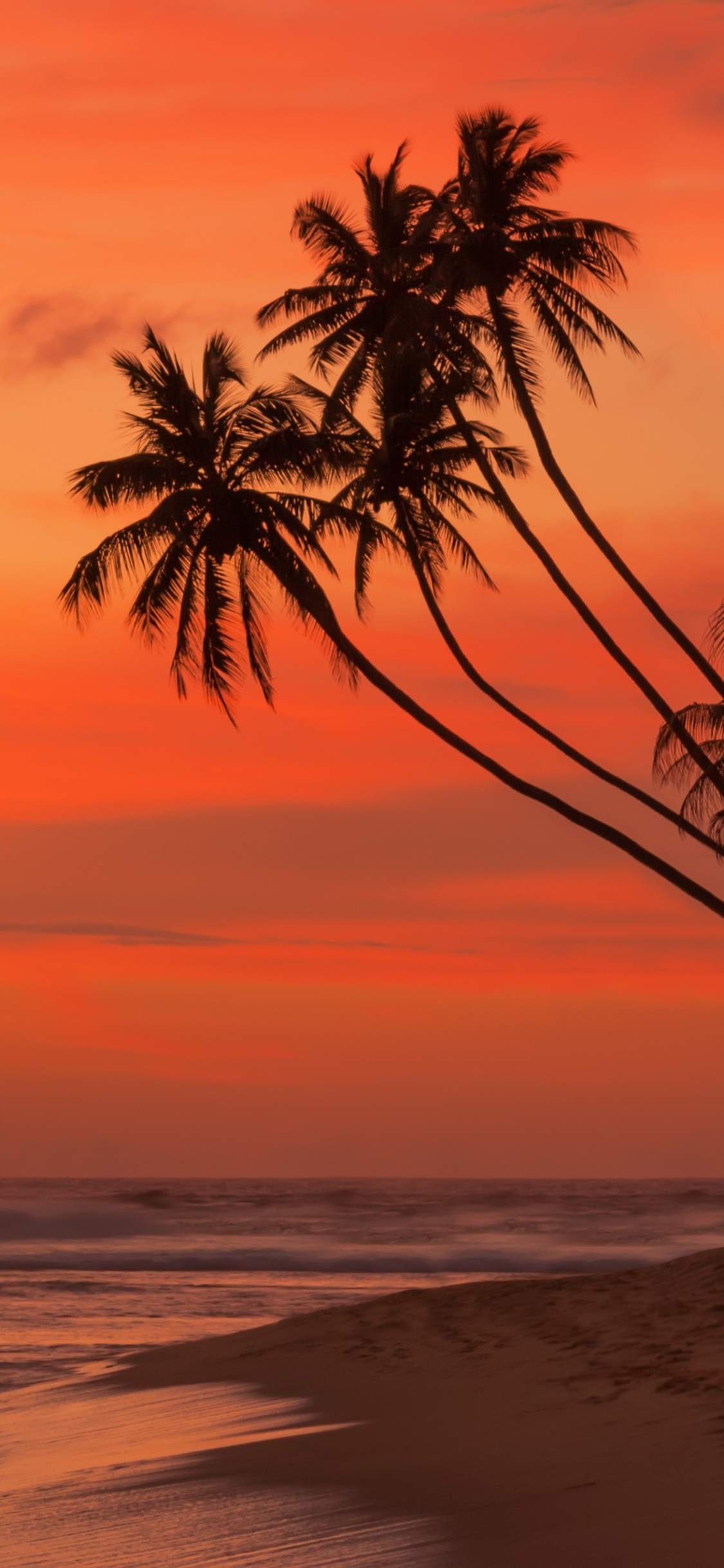 Обои закат, послесвечение, горизонт, восход солнца, море в разрешении 1125x2436