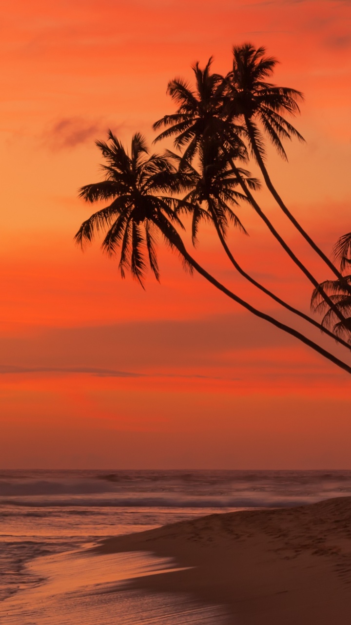 Обои закат, послесвечение, горизонт, восход солнца, море в разрешении 720x1280